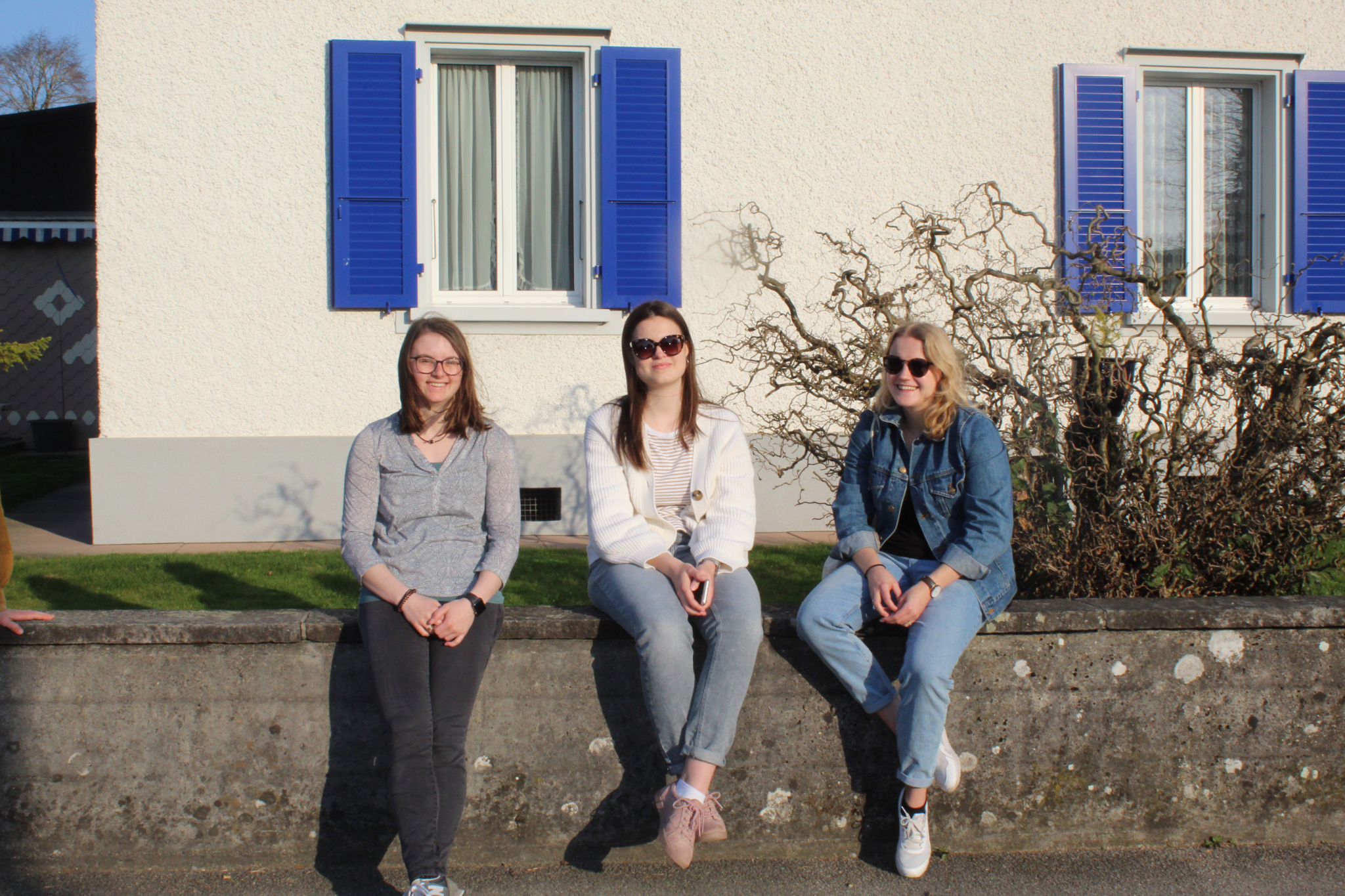 Bild 1 (12)